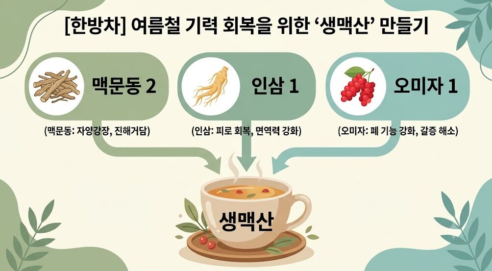 맥문동 생맥산 재료 비율 인포그래픽